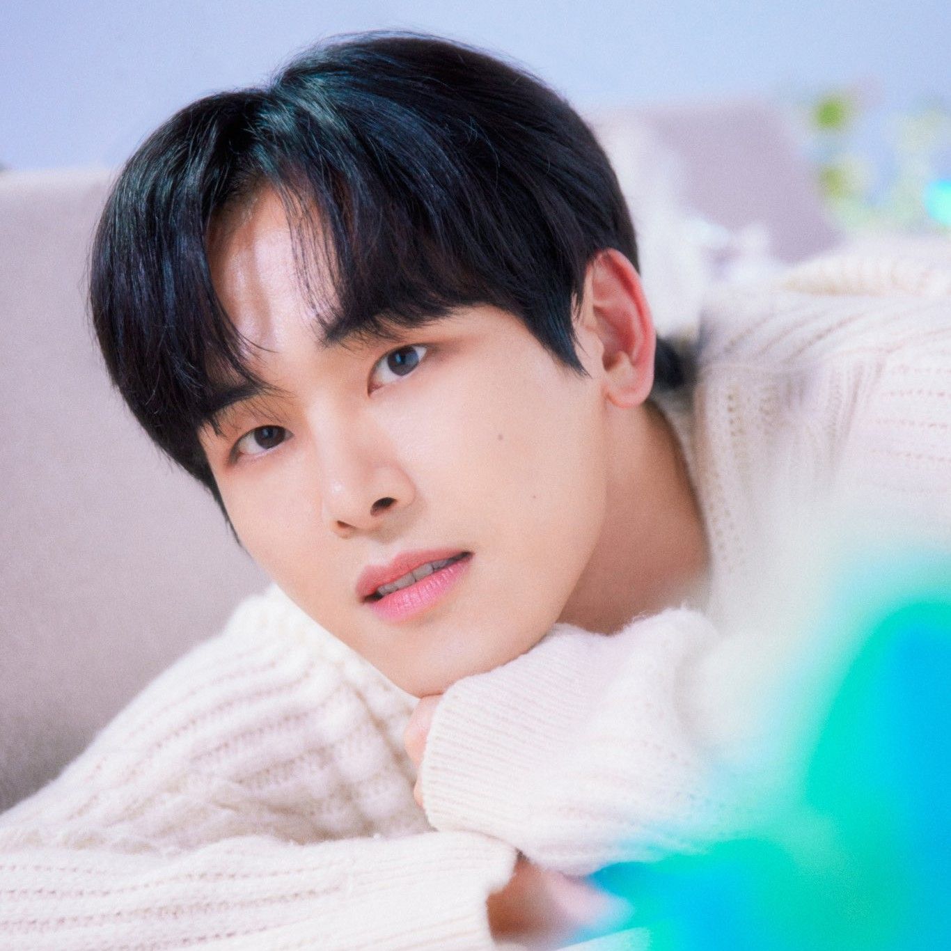 A moment captured by a fan of Hoya