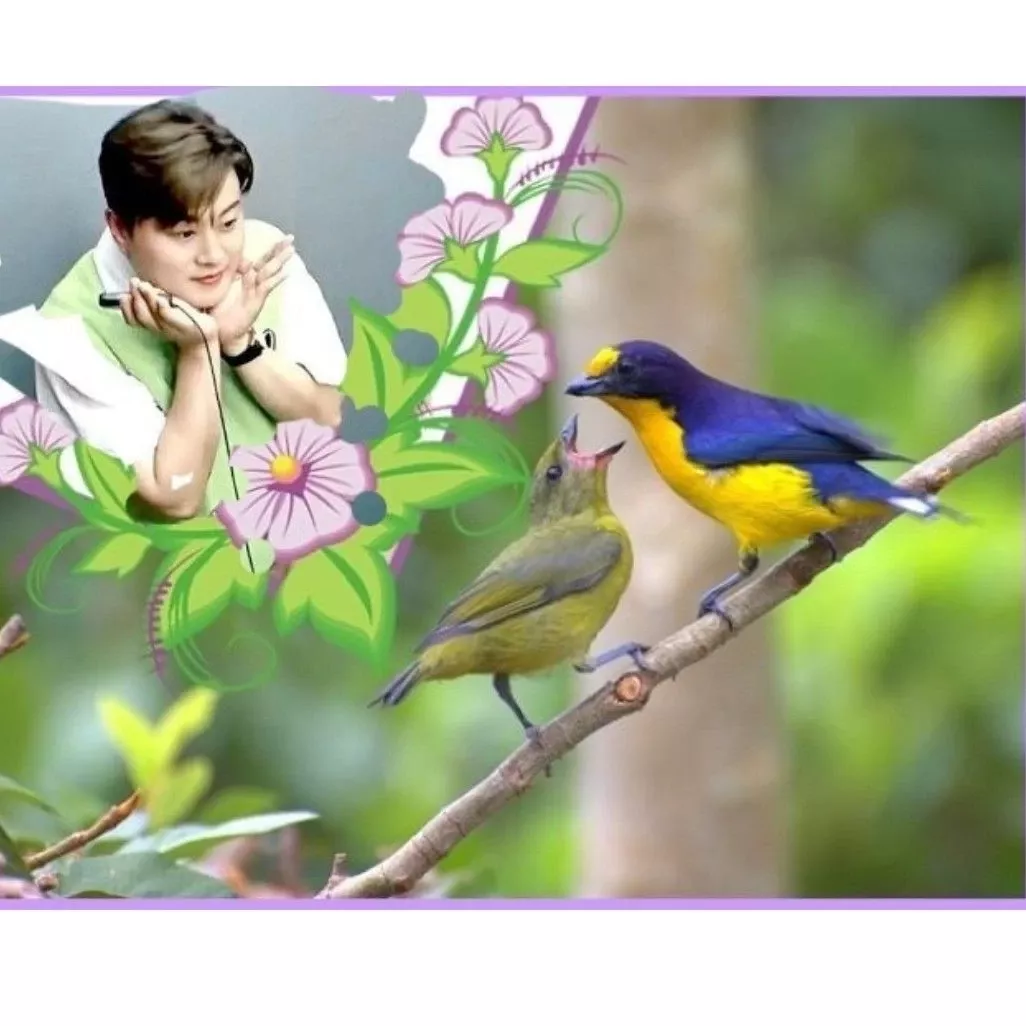 粉丝拍下的金浩中瞬间