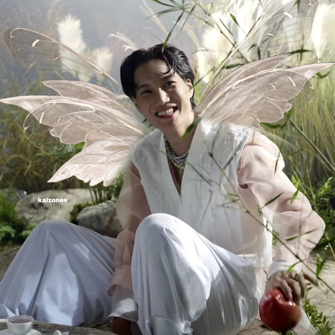 A moment captured by a fan of KAI