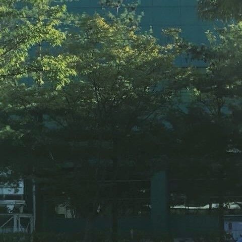 A moment captured by a fan of Park Seoham