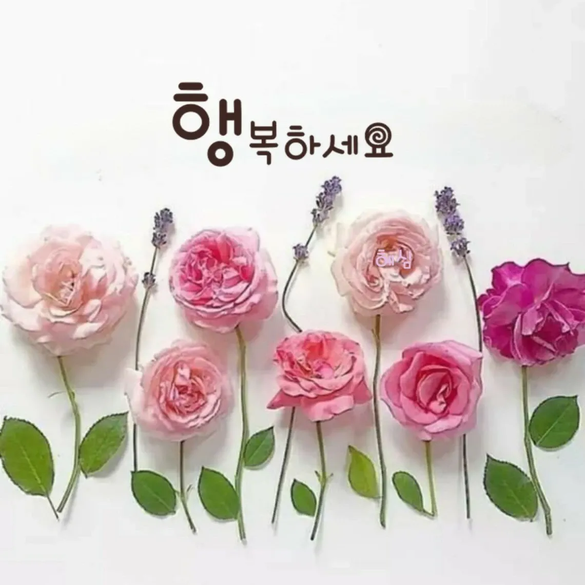 晉海成的幕後花絮