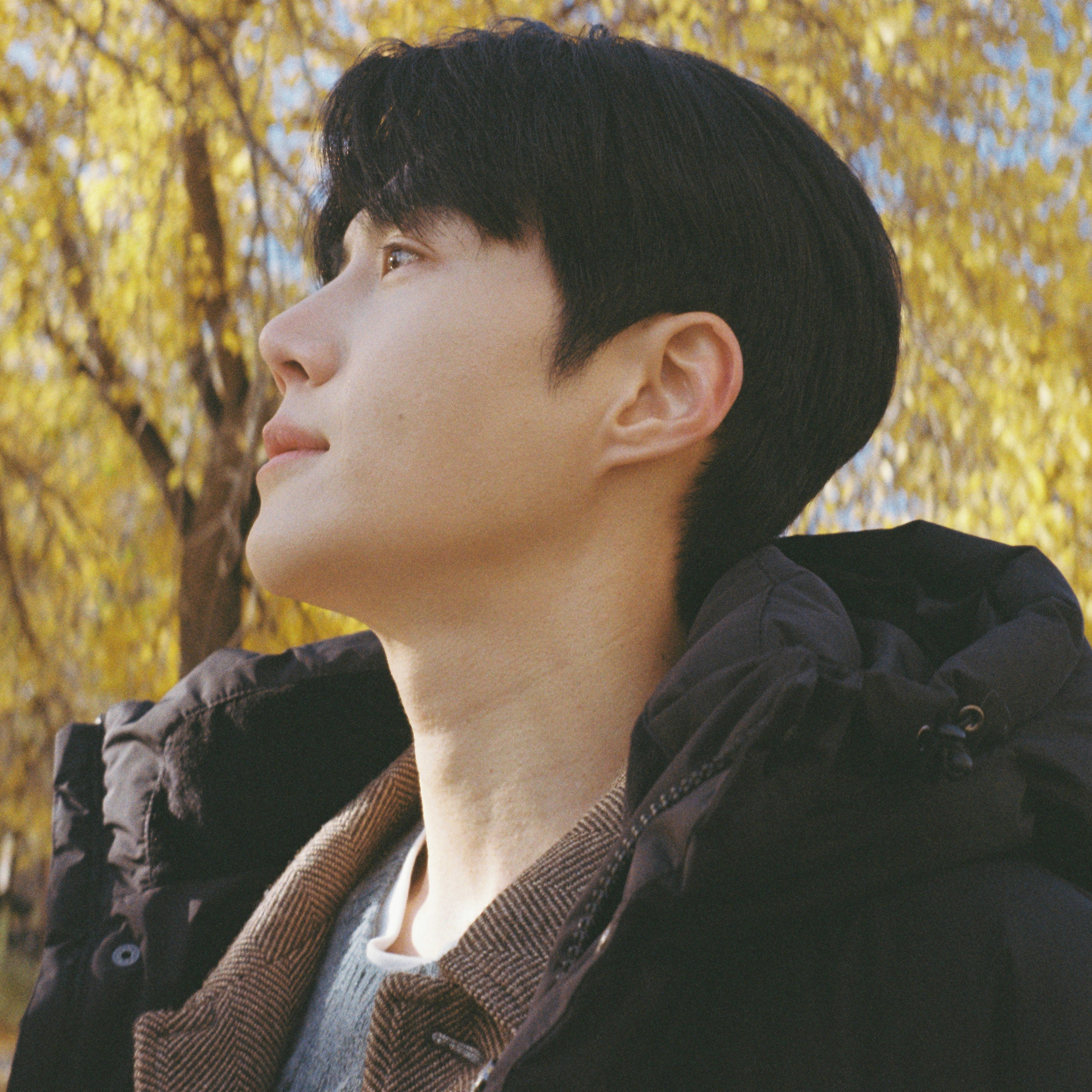 Recent activity shot of Kim Seonho