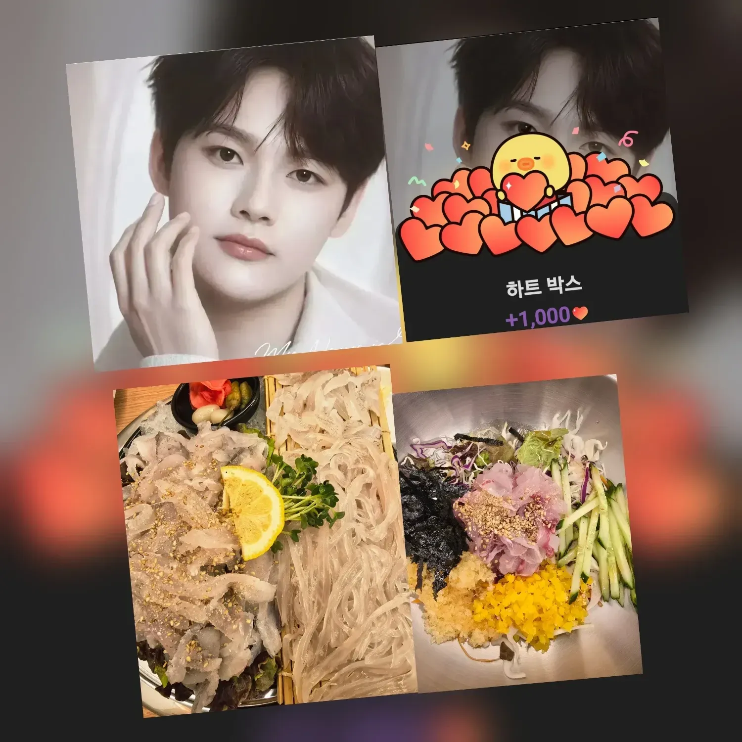 박서진의 최신 사진