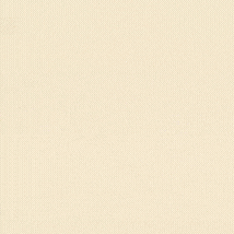 김선호 팬이 찍은 순간