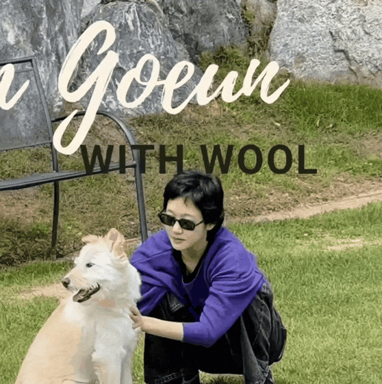 金高銀的最新照片