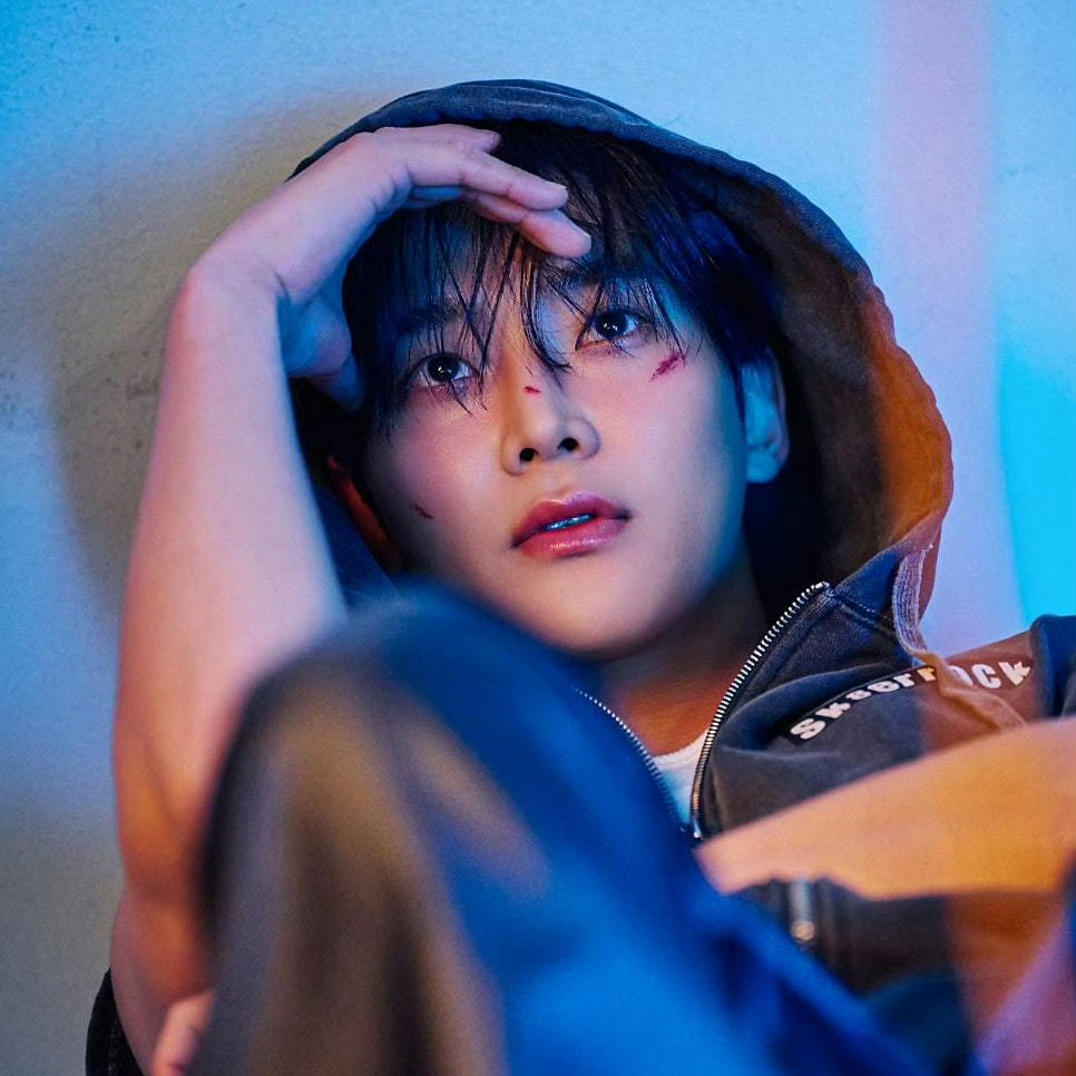 路云的近期活动照