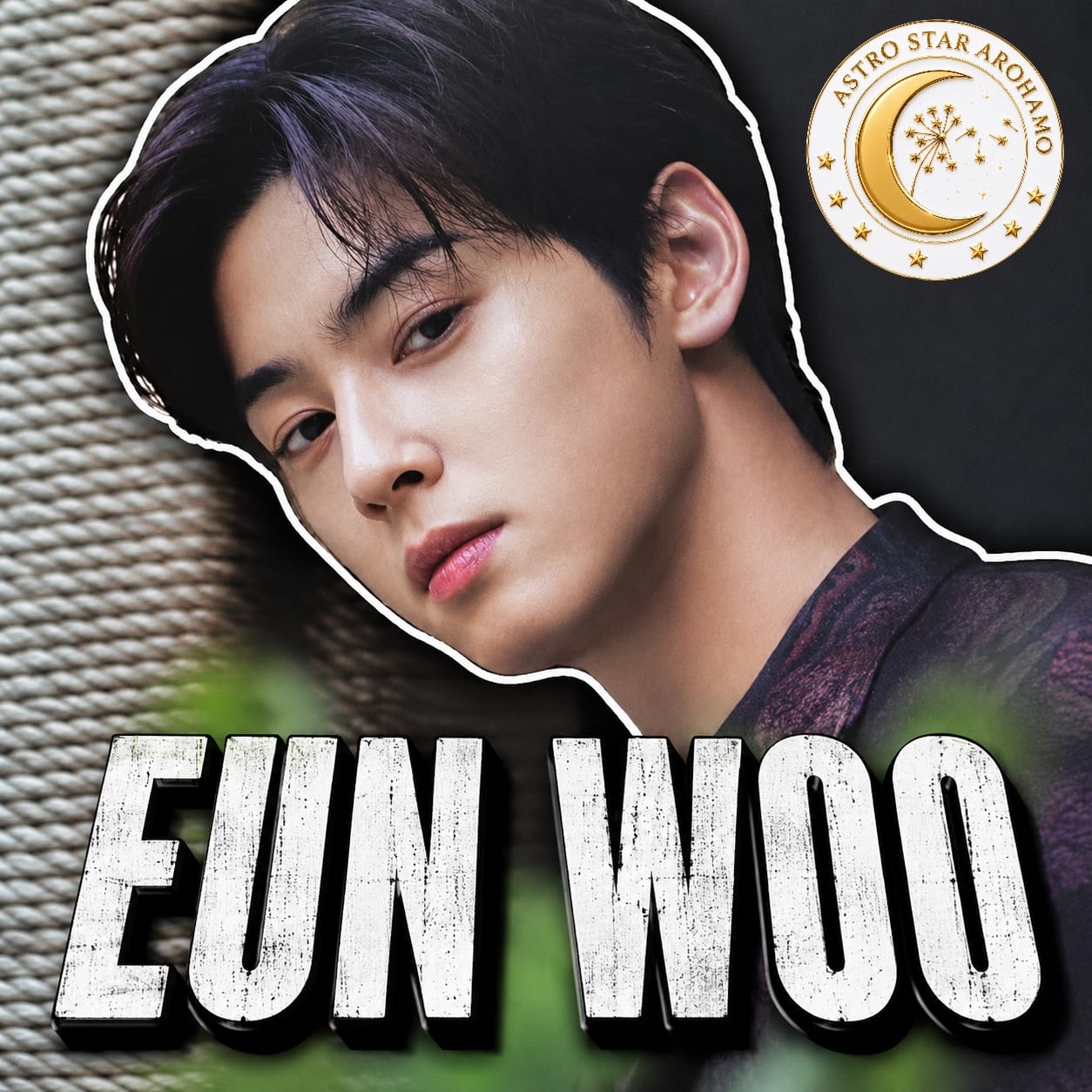 Recent activity shot of Cha Eunwoo