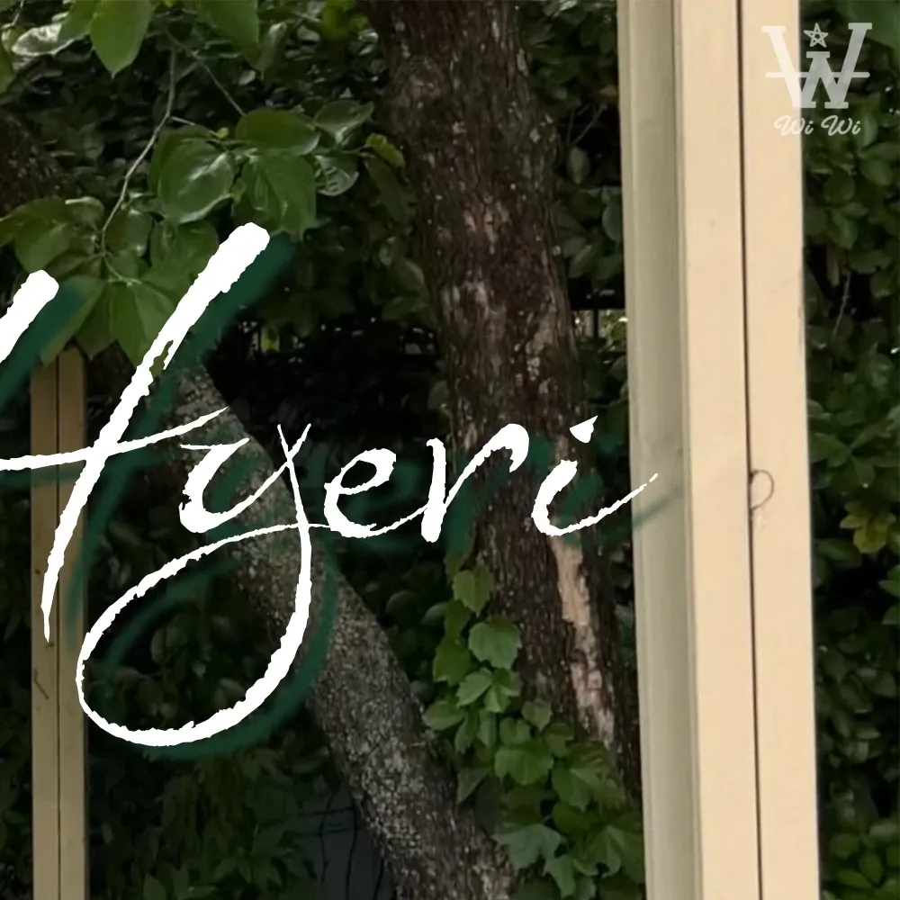 Recent activity shot of Hyeri