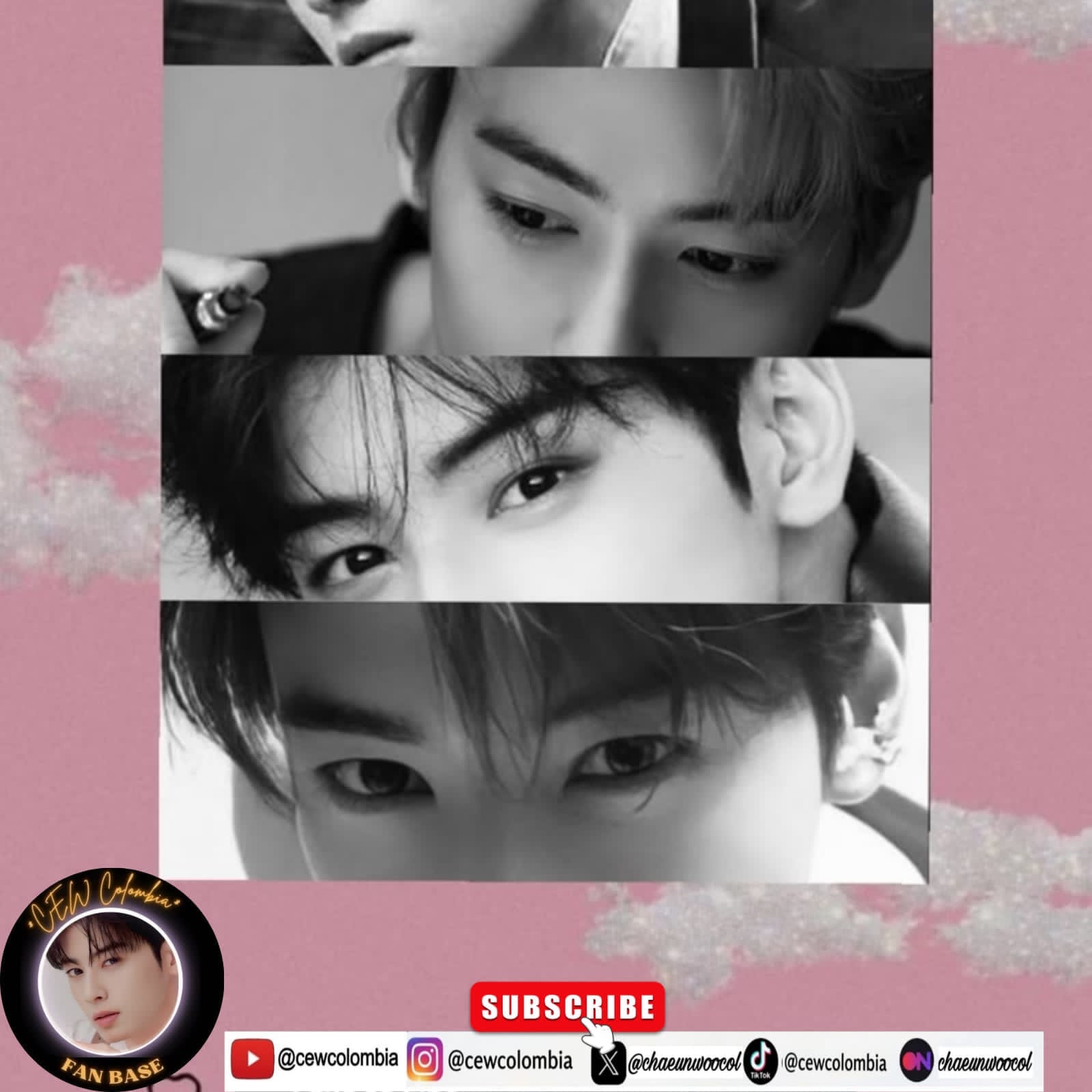 Recent activity shot of Cha Eunwoo