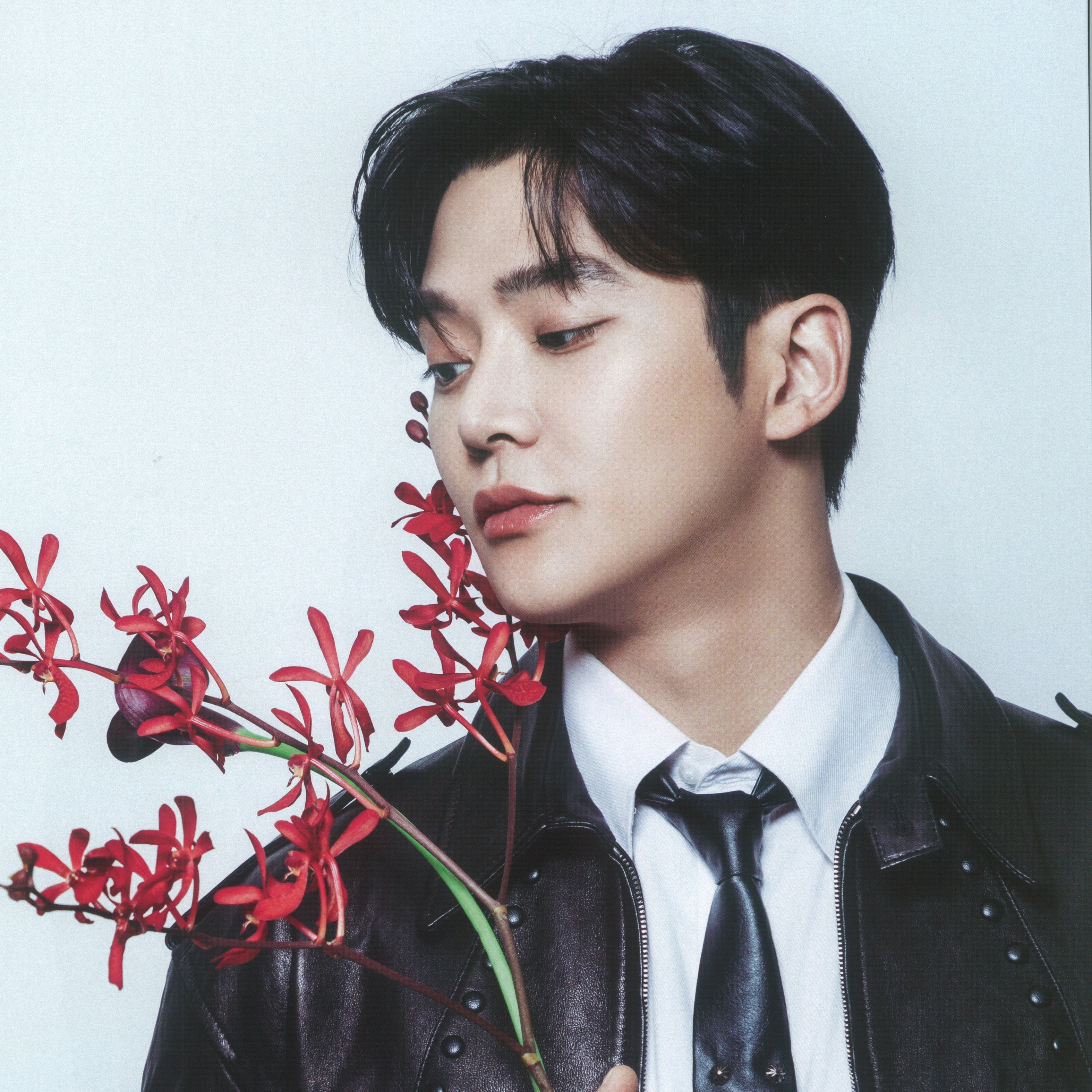 路云的最新照片