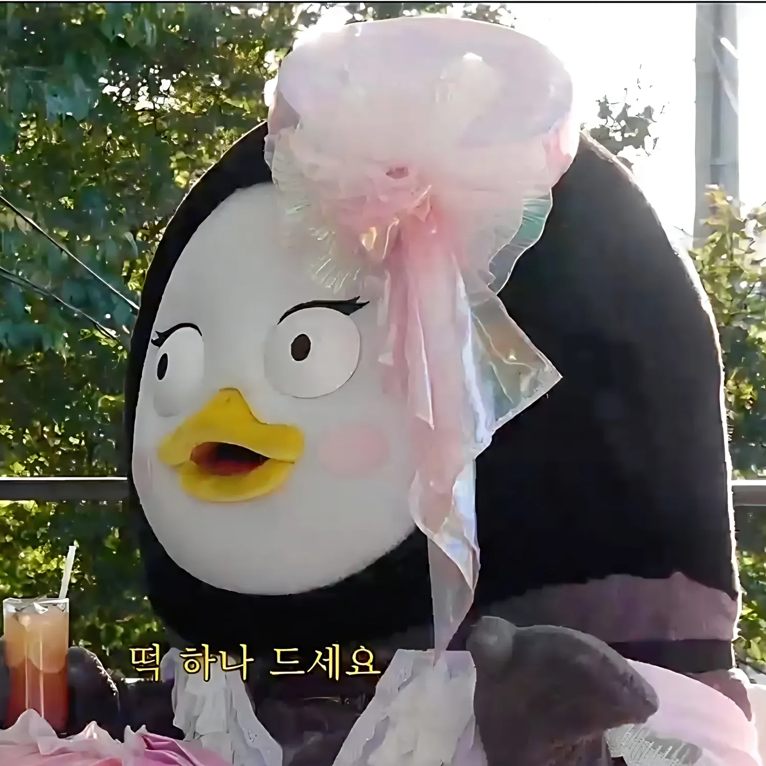 펭수 최근 활동샷