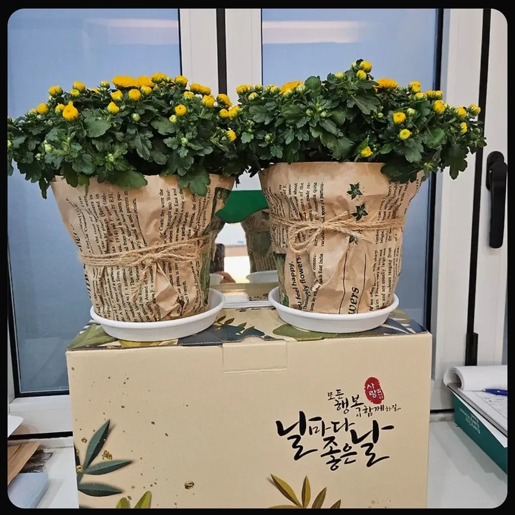 金浩中的幕后花絮