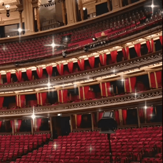 金秀賢的近期活動照