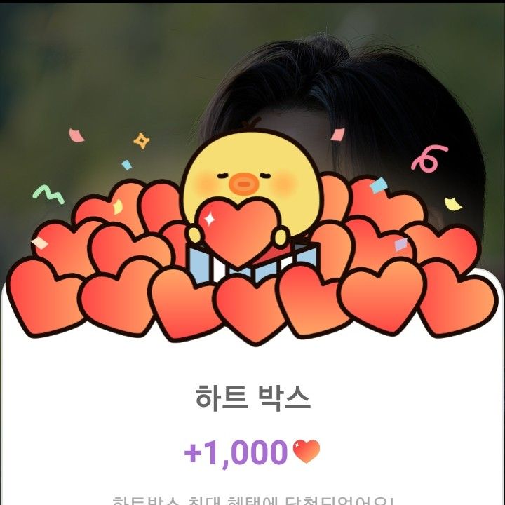 金熙栽的近期活動照