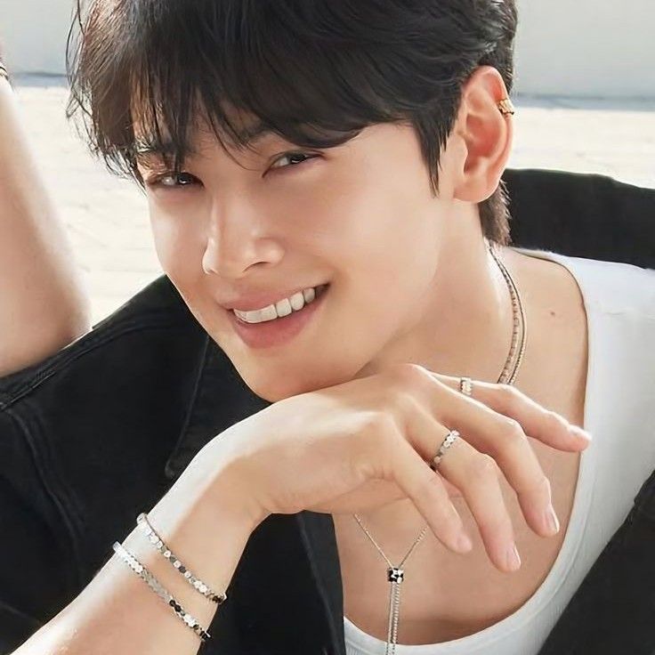 Behind-the-scenes cut of Cha Eunwoo