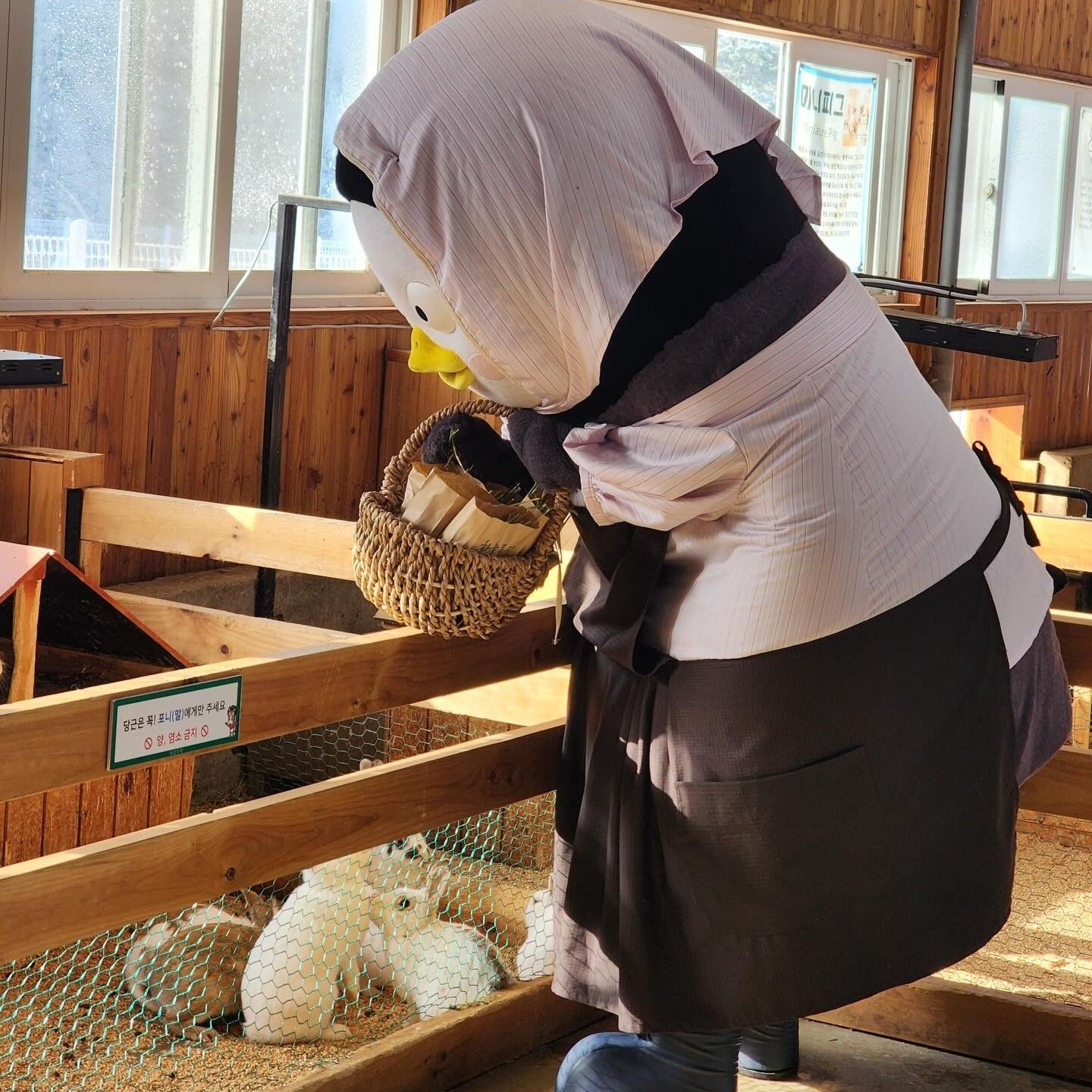 Foto kegiatan terbaru dari Pengsoo