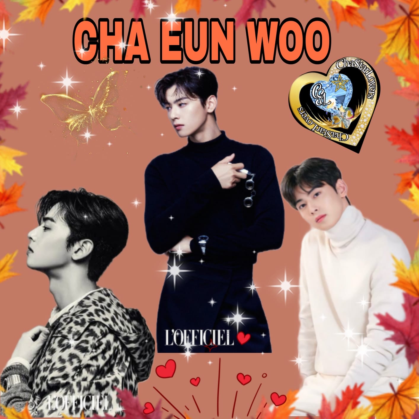 A moment captured by a fan of Cha Eunwoo
