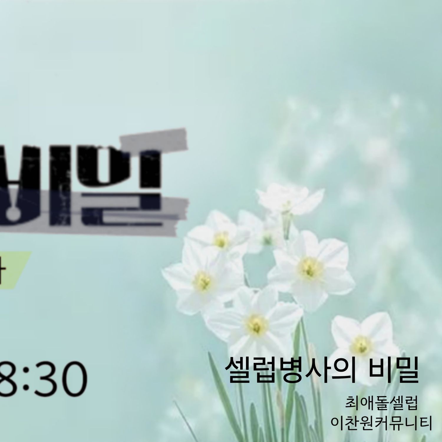 李灿元的近期活动照