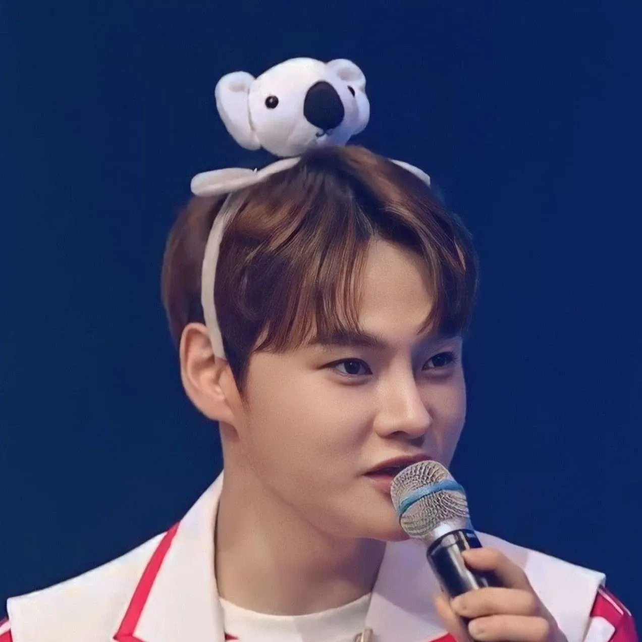 박서진의 최신 사진