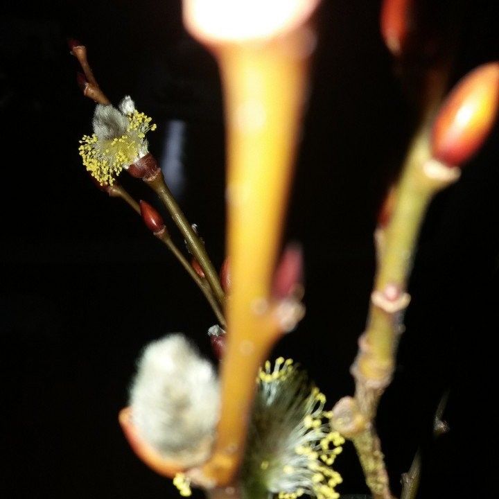 金浩中的幕后花絮