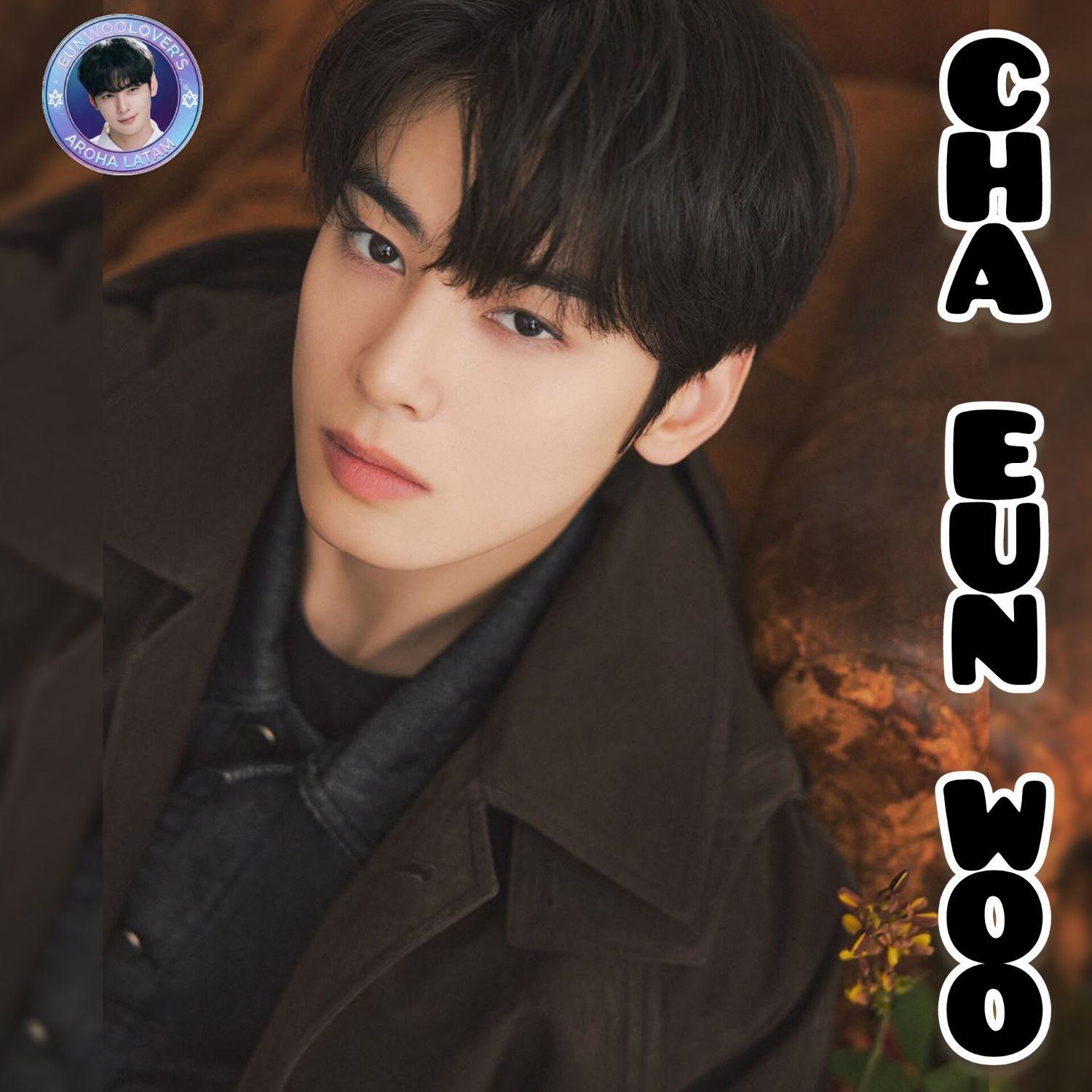 车银优的最新照片