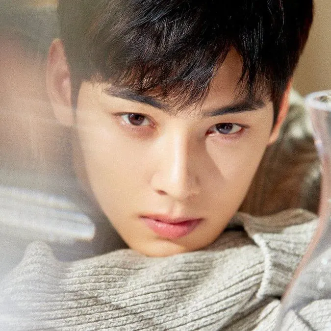 Behind-the-scenes cut of Cha Eunwoo
