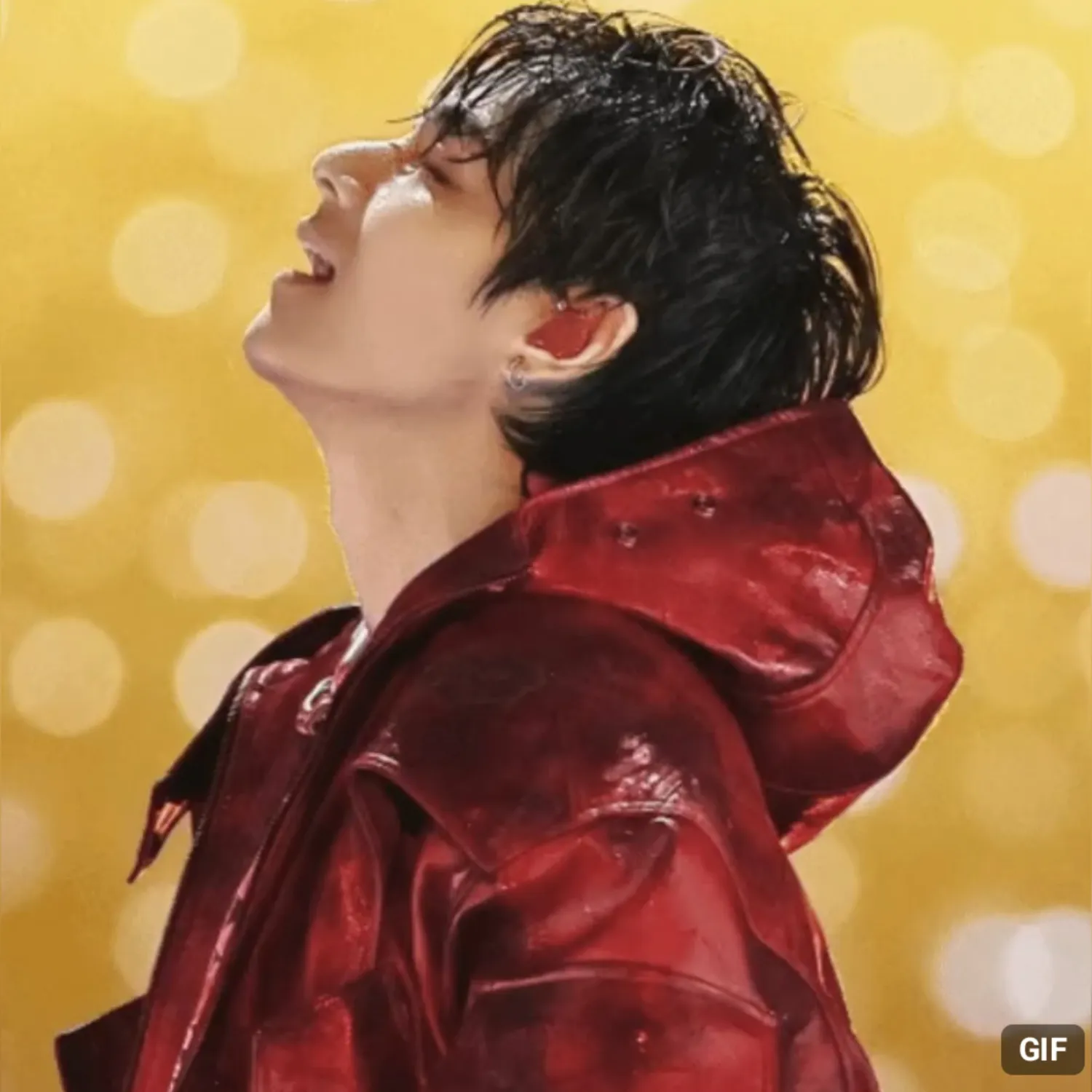 Feed komunitas selebriti terpopuler hari ini