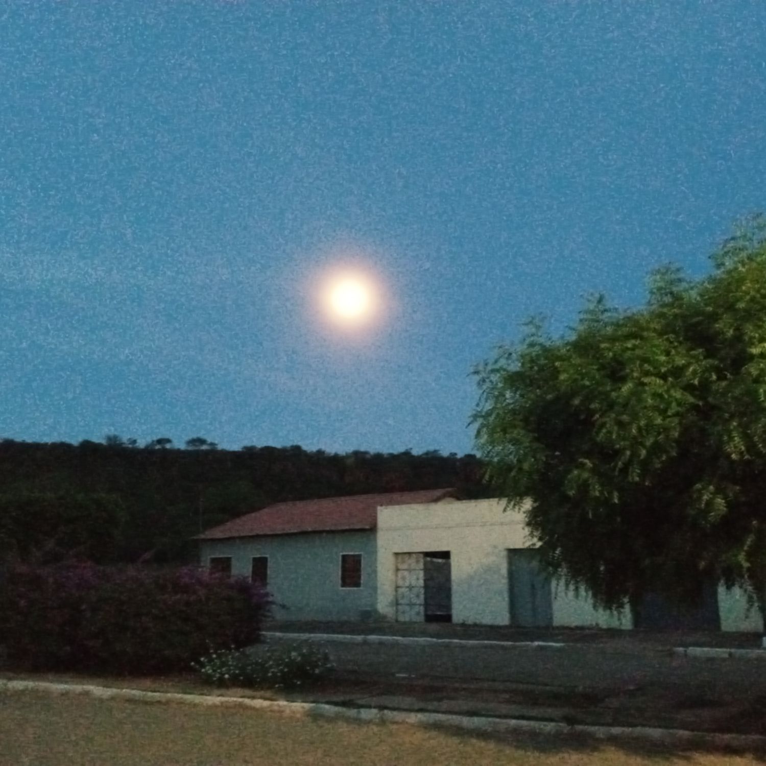 池昌旭的近期活动照