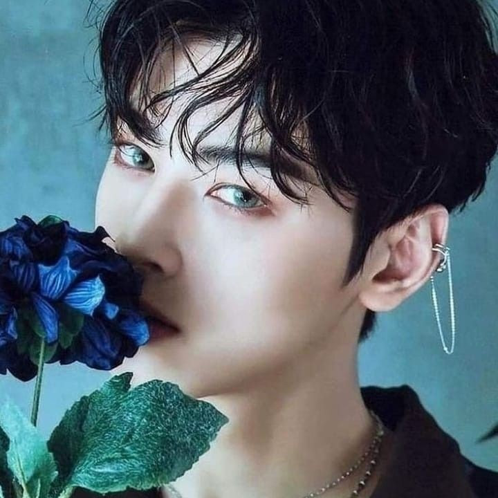 A moment captured by a fan of Cha Eunwoo