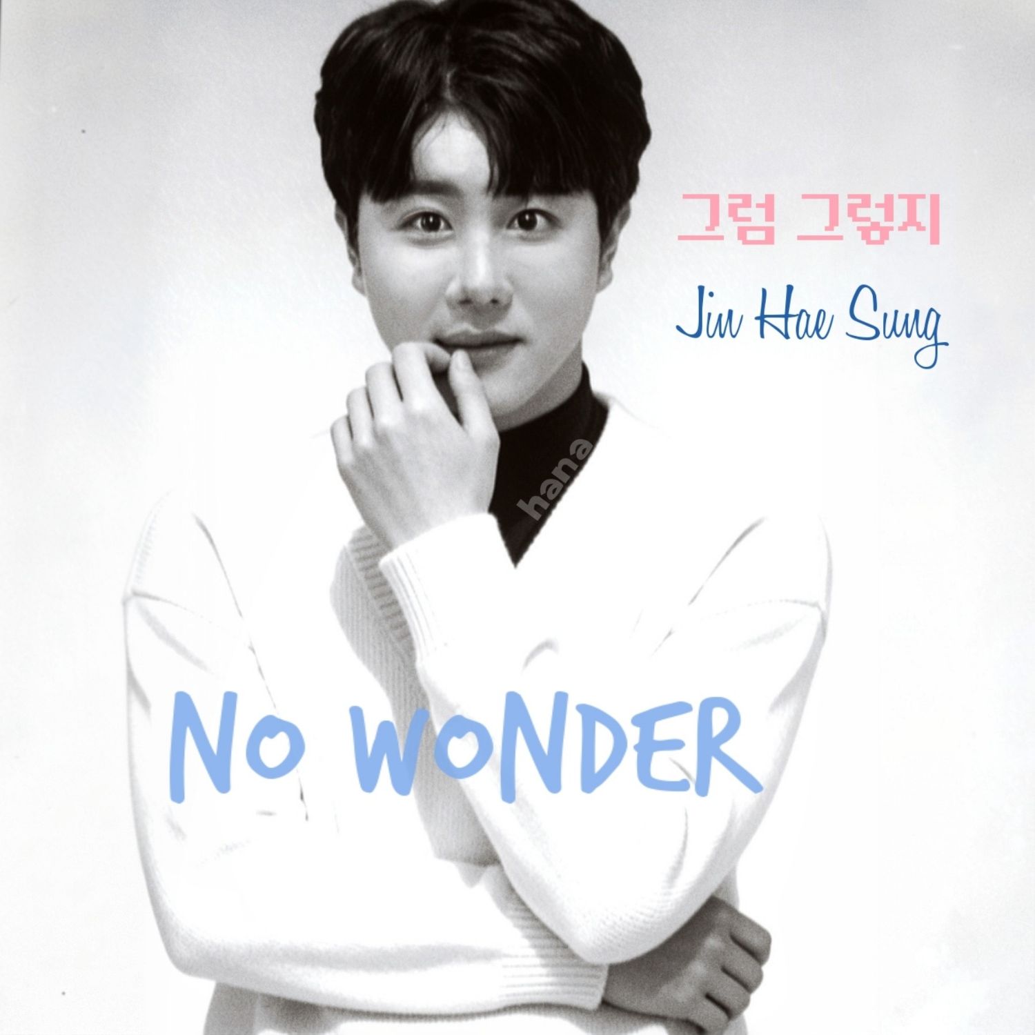 A moment captured by a fan of Jin Haesung