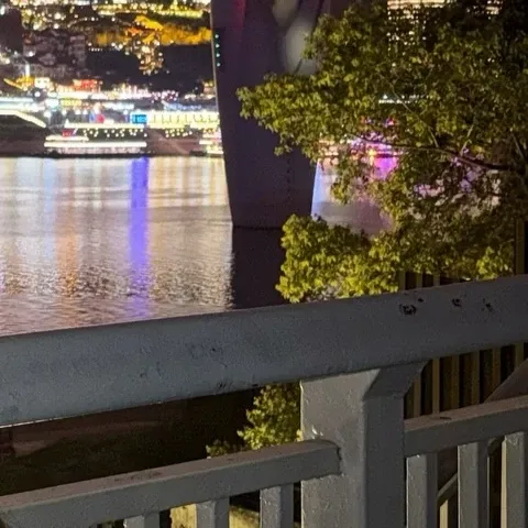 Recent activity shot of Bona