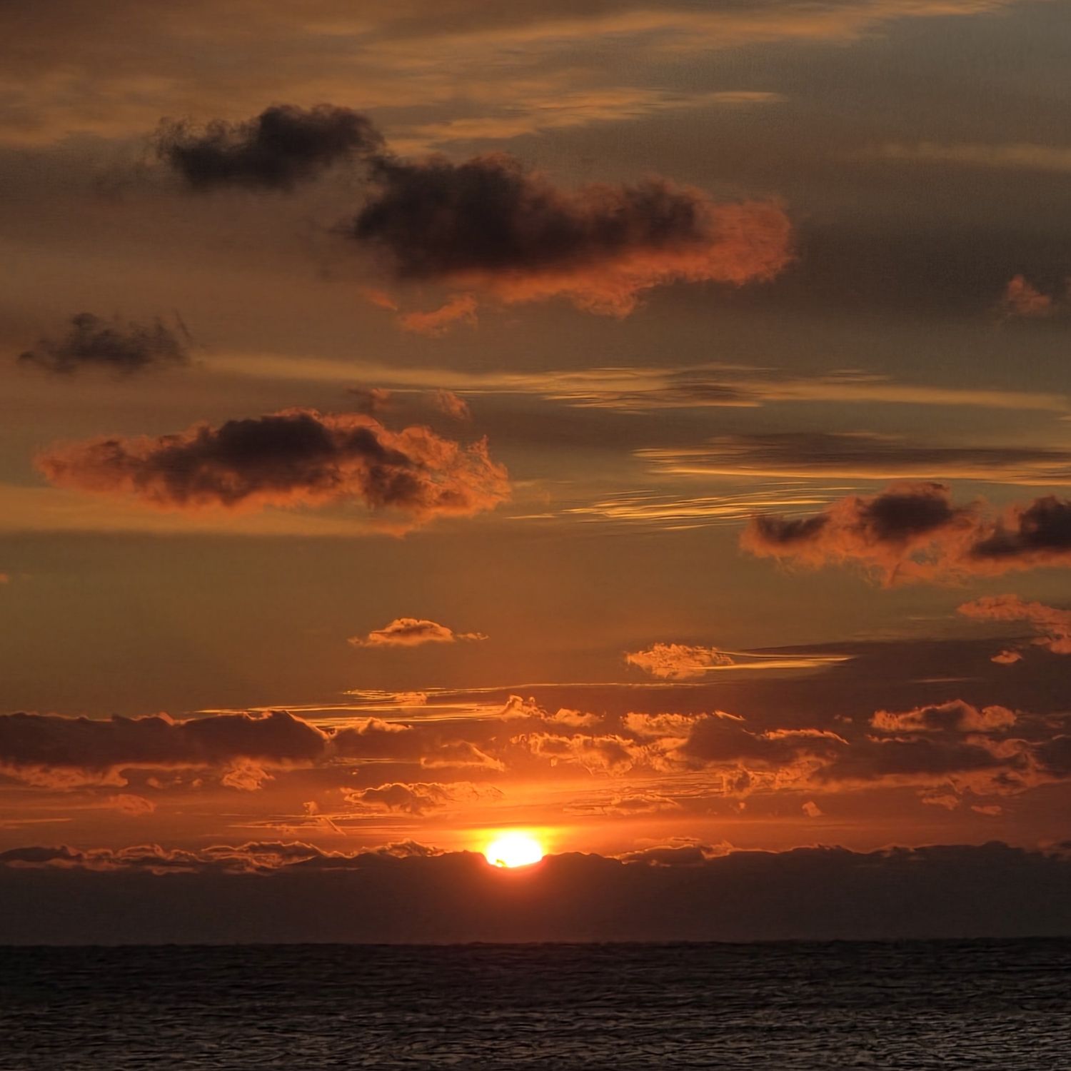 キム・ダヒョンの最近の活動ショット