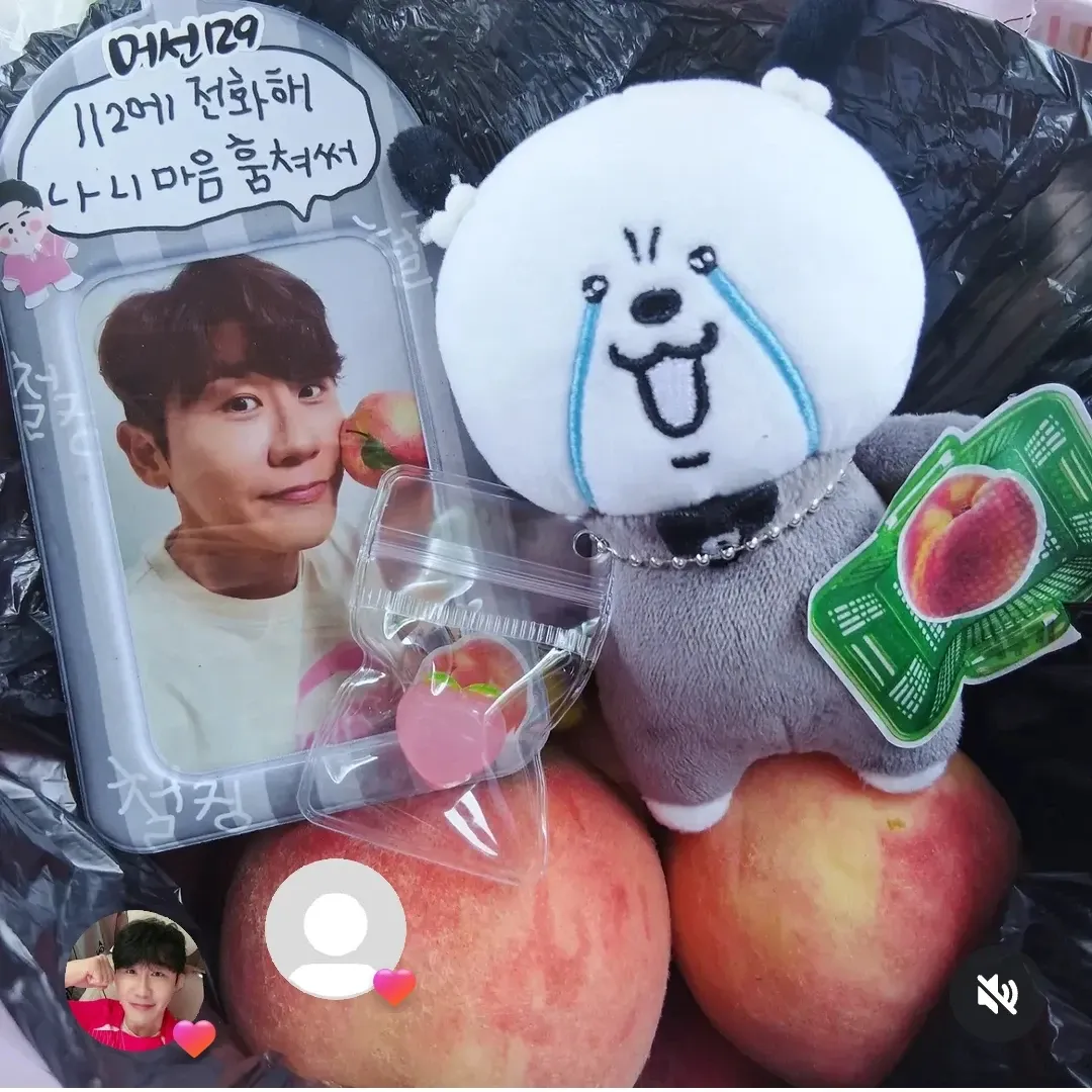 영탁 팬이 찍은 순간