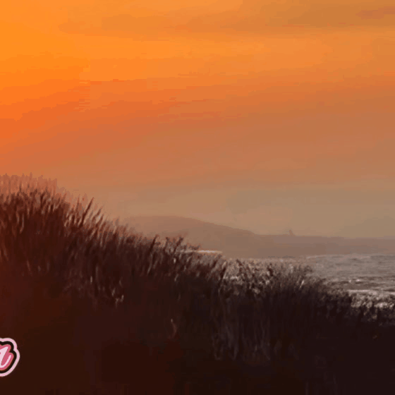 キム・スヒョンのビハインドカット