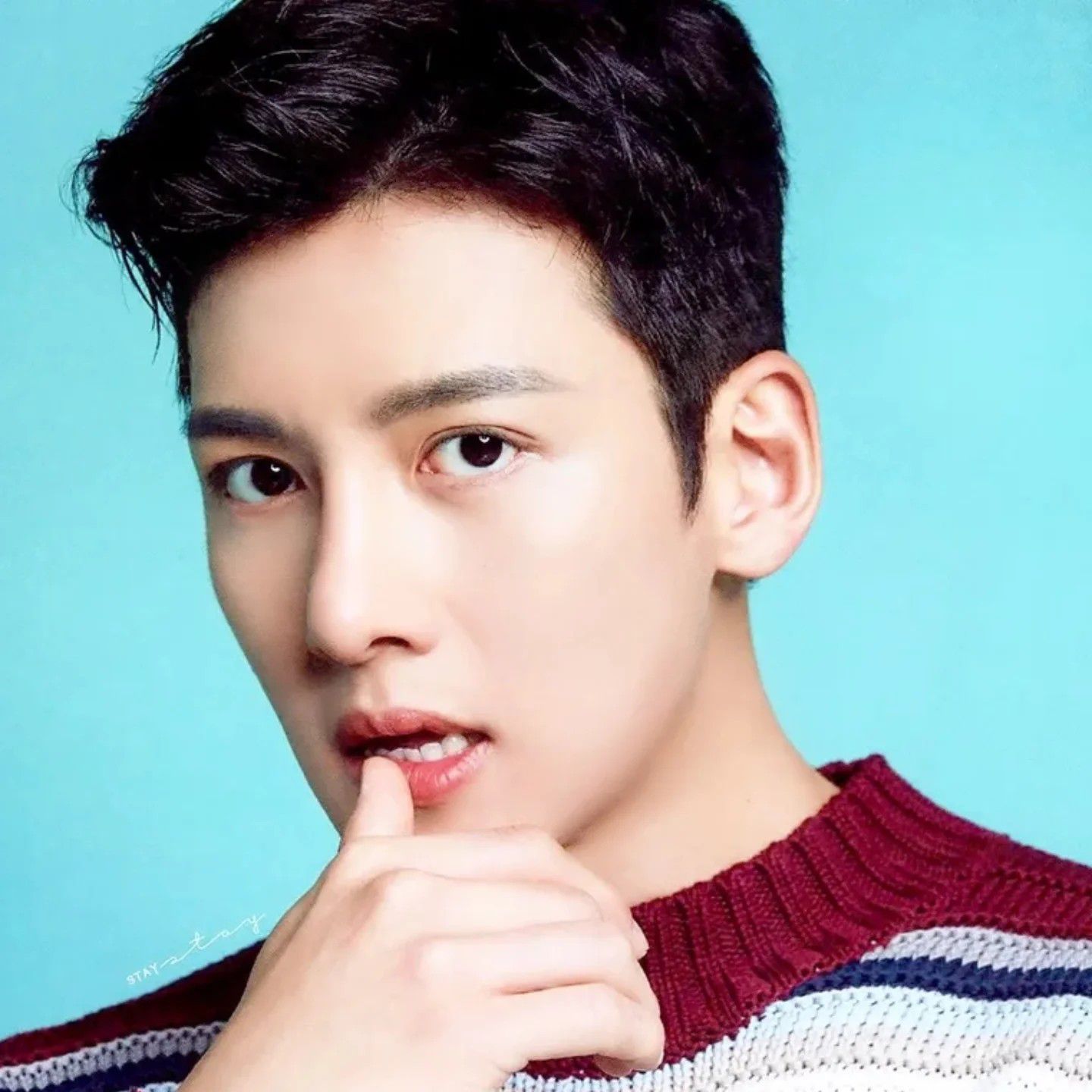 ファンが撮影したチ・チャンウクの瞬間