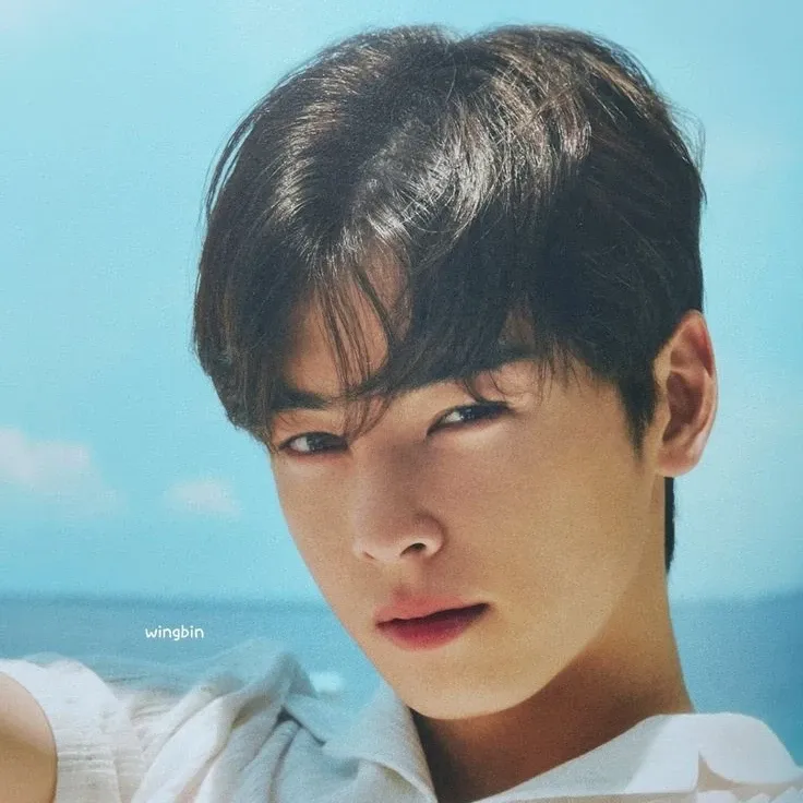 Behind-the-scenes cut of Cha Eunwoo