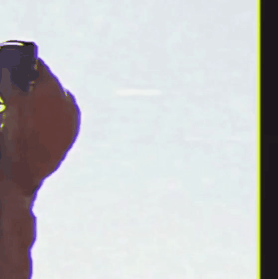 Recent activity shot of Dylan Wang