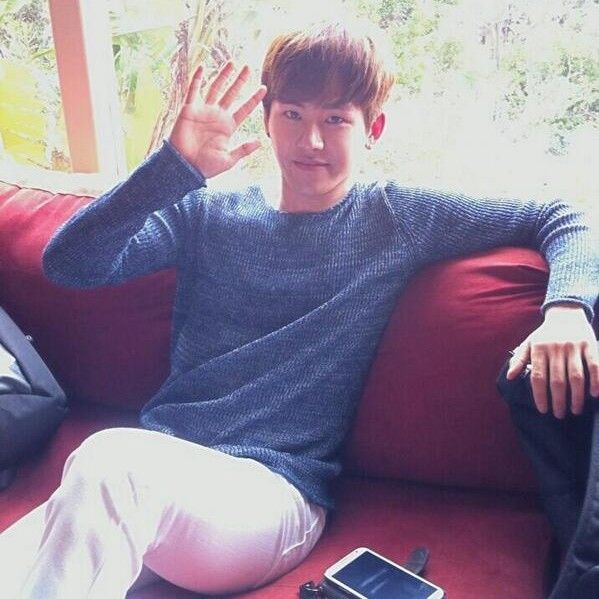 A moment captured by a fan of Hoya