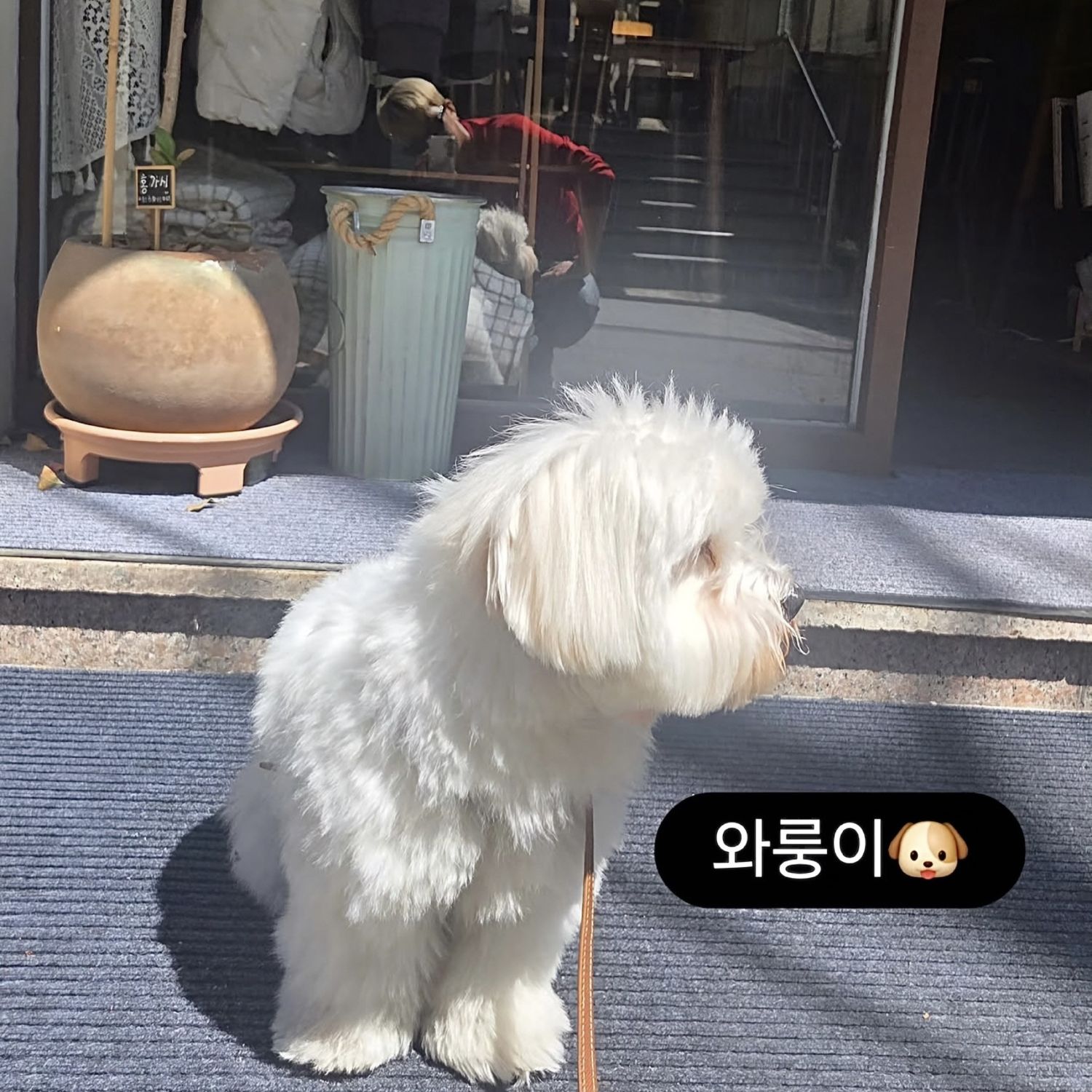 Foto kegiatan terbaru dari Lim Youngwoong