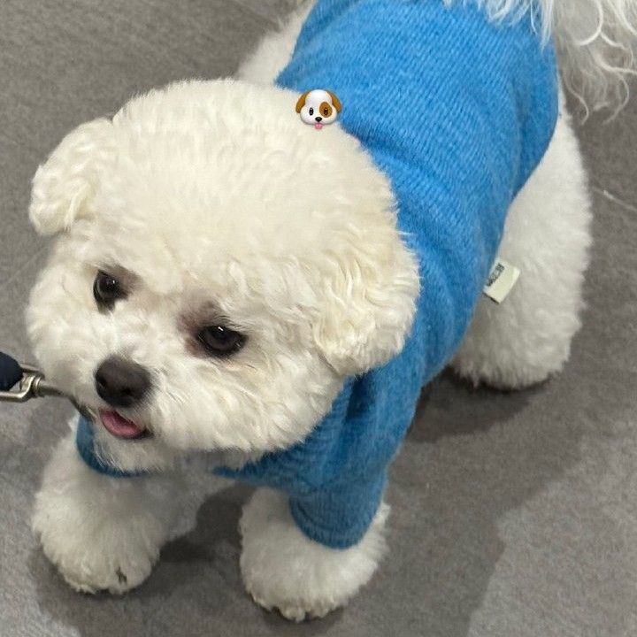 车银优的近期活动照