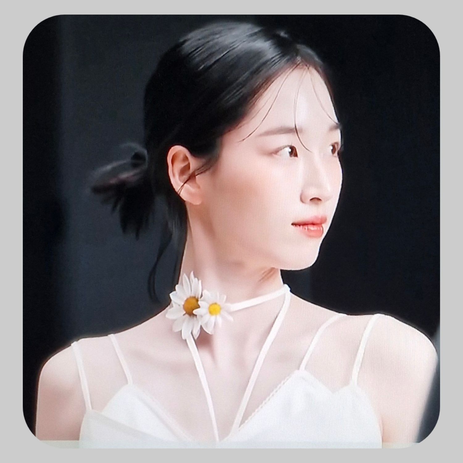 A moment captured by a fan of Won Jian