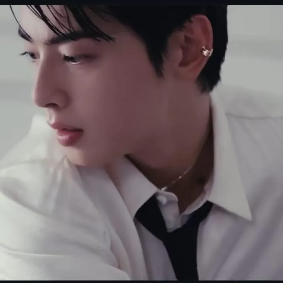 Behind-the-scenes cut of Cha Eunwoo