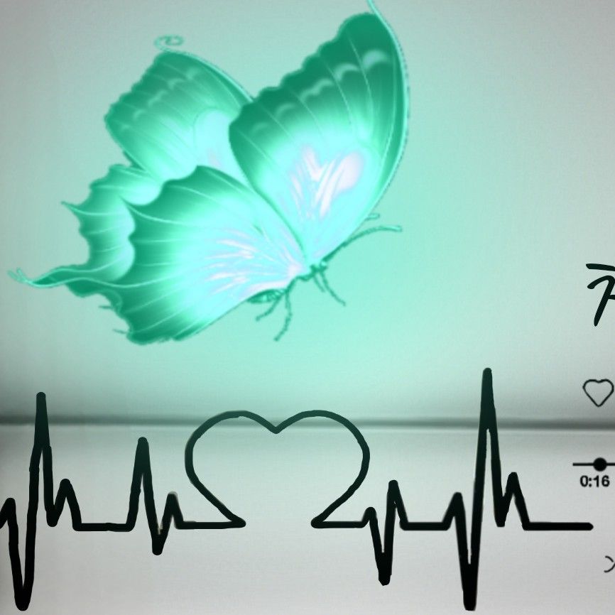 Park Sewook的近期活動照