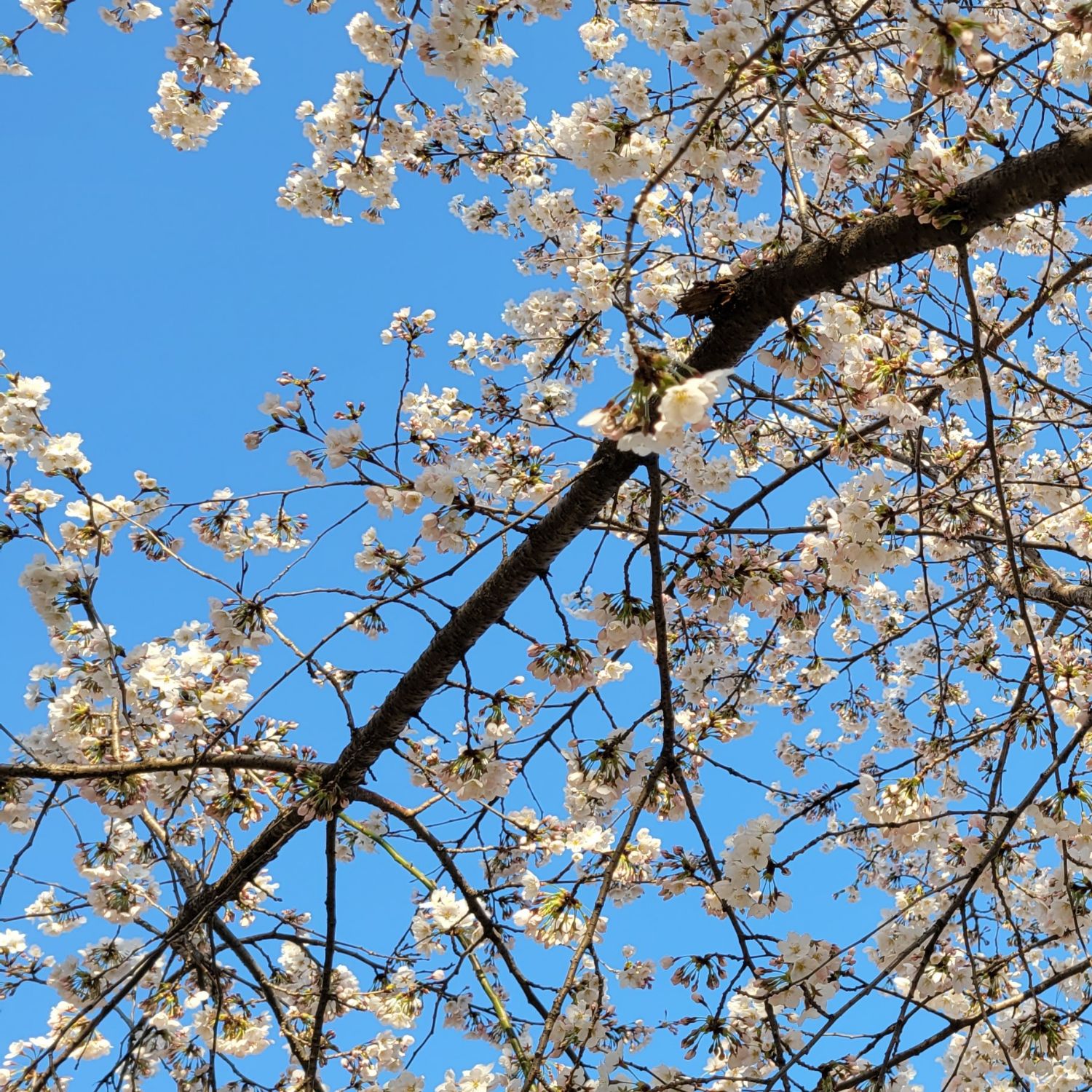 Foto kegiatan terbaru dari Hong Jiyoon