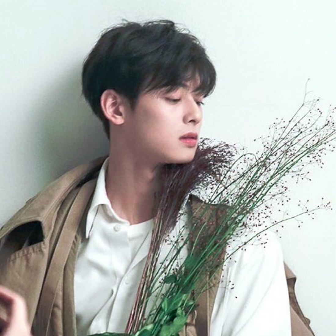 車銀優的近期活動照