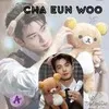A moment captured by a fan of Cha Eunwoo
