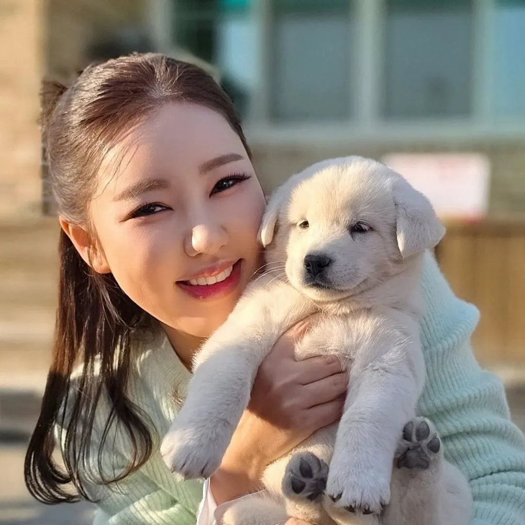 粉丝拍下的宋歌人瞬间