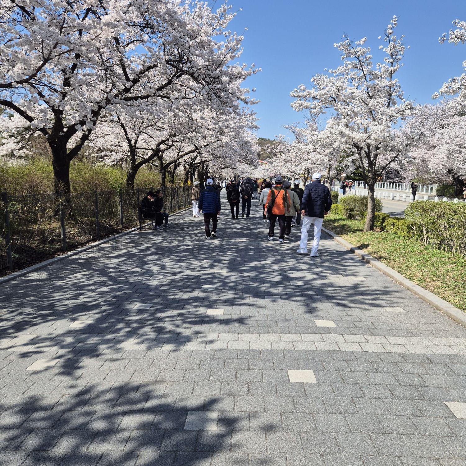 金浩中的近期活动照