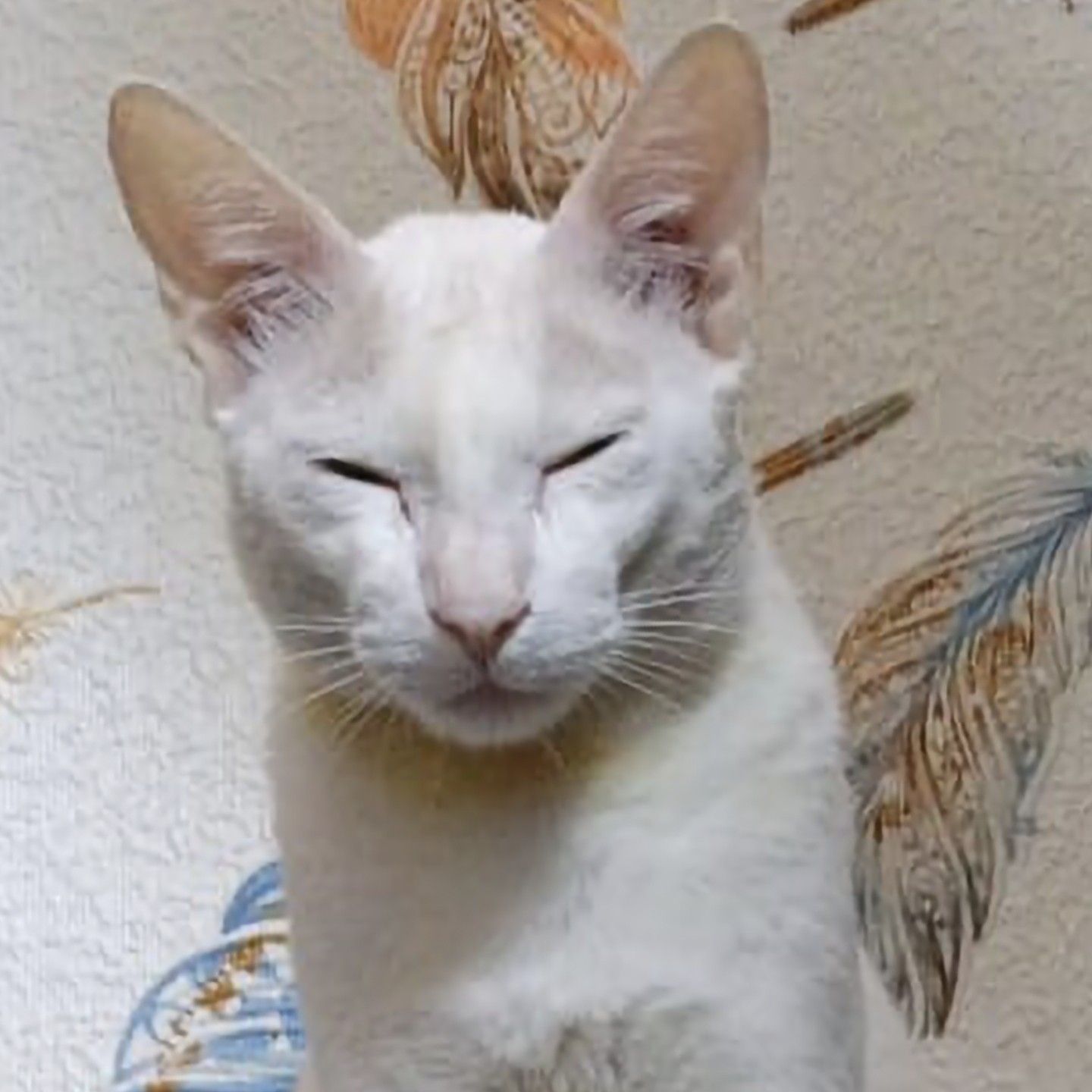 Foto terbaru dari Gong Yoo