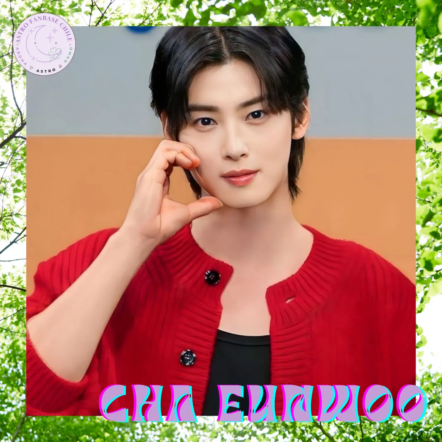 Behind-the-scenes cut of Cha Eunwoo